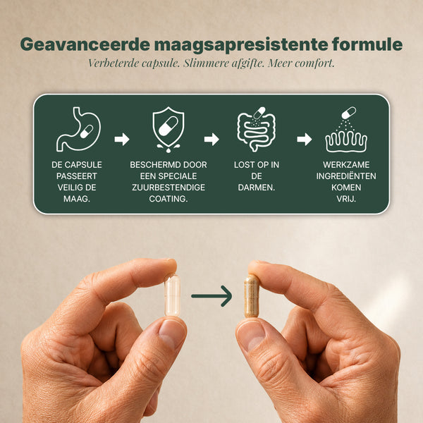 Gerijpt Knoflookextract-Supplement